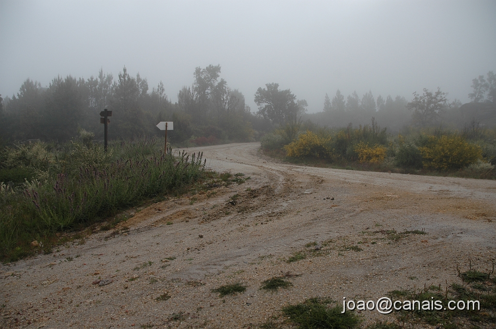 DSC_0643.JPG