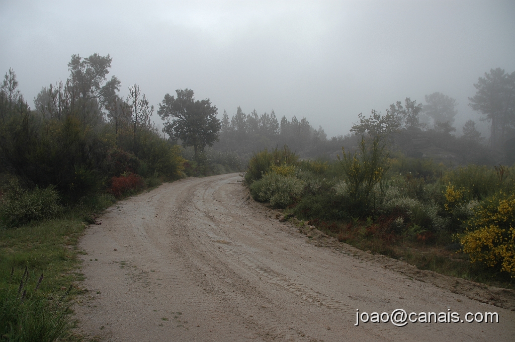 DSC_0644.JPG