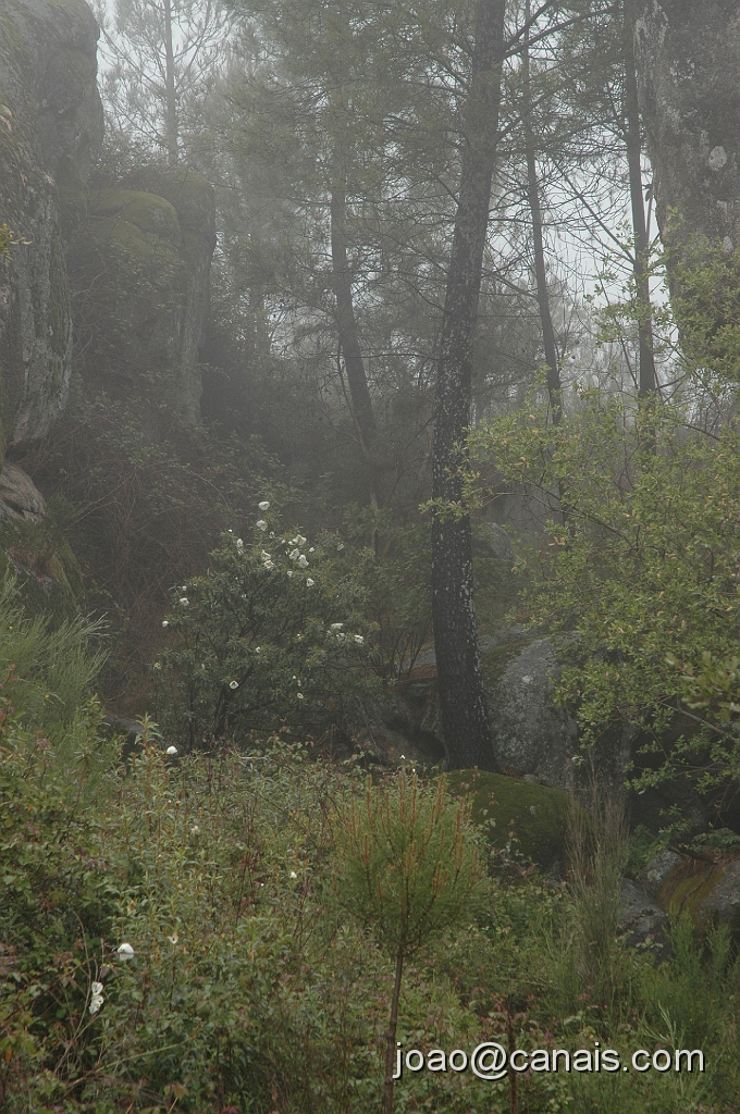 DSC_0649.JPG