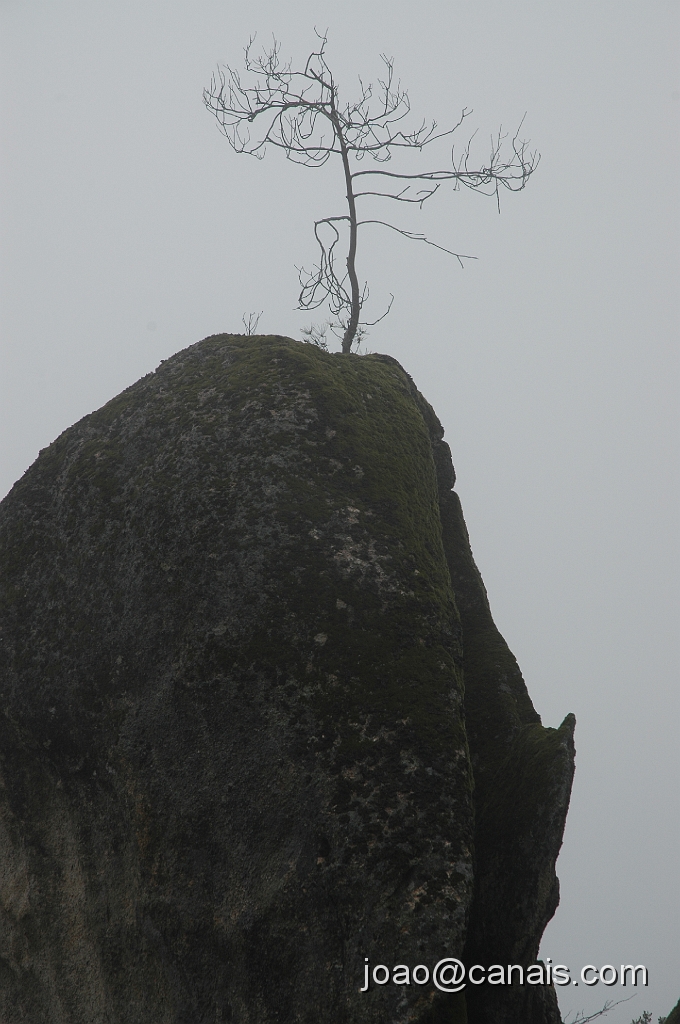 DSC_0650.JPG