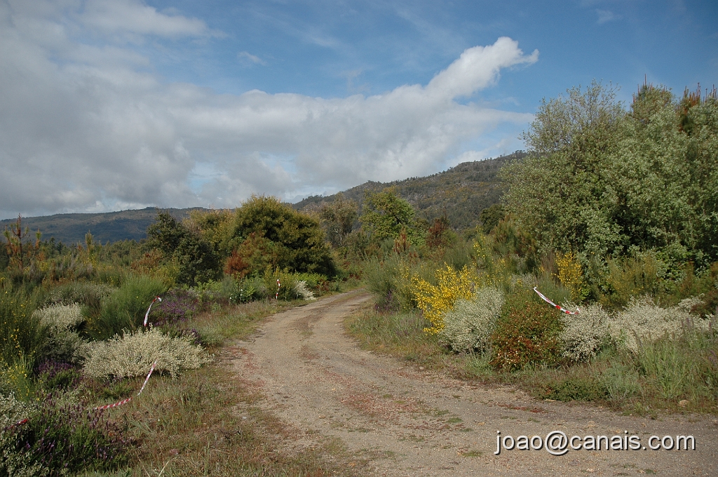 DSC_0677.JPG