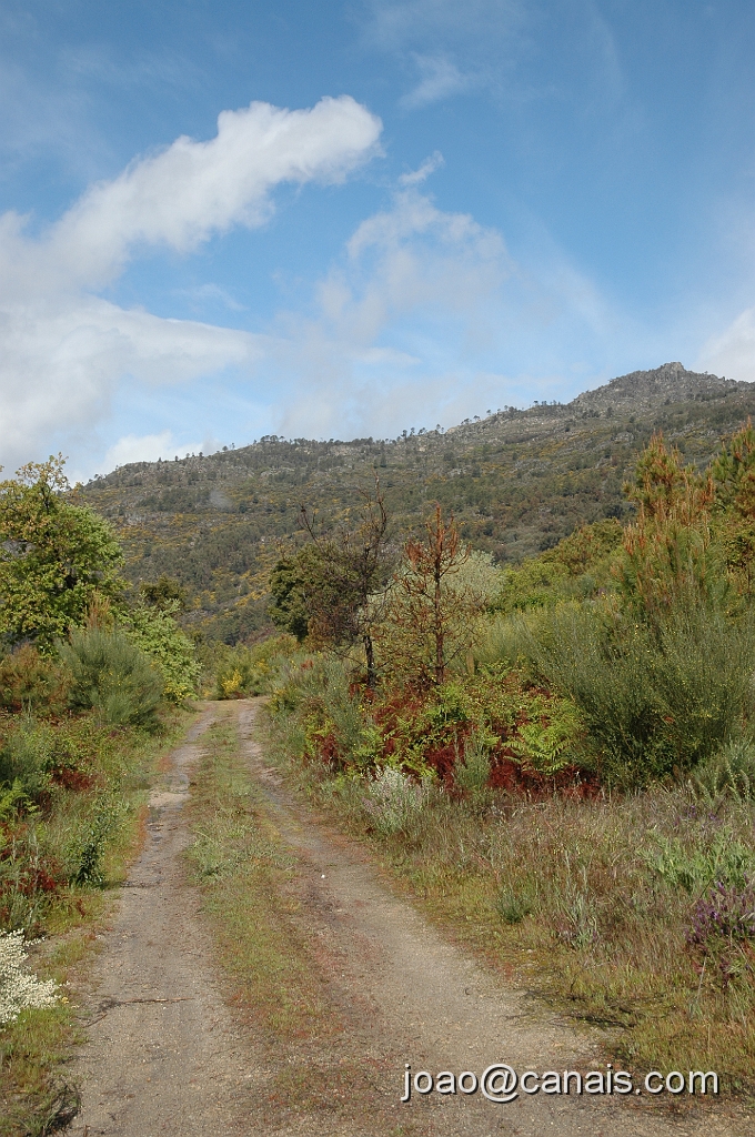 DSC_0679.JPG