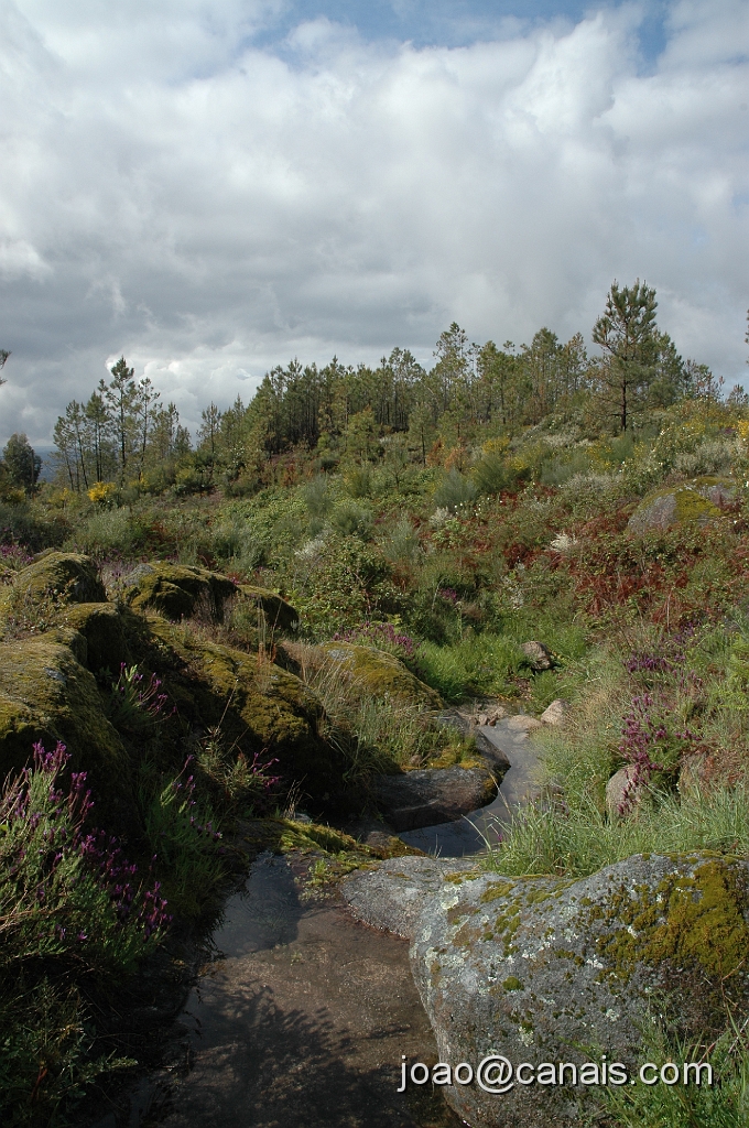 DSC_0688.JPG