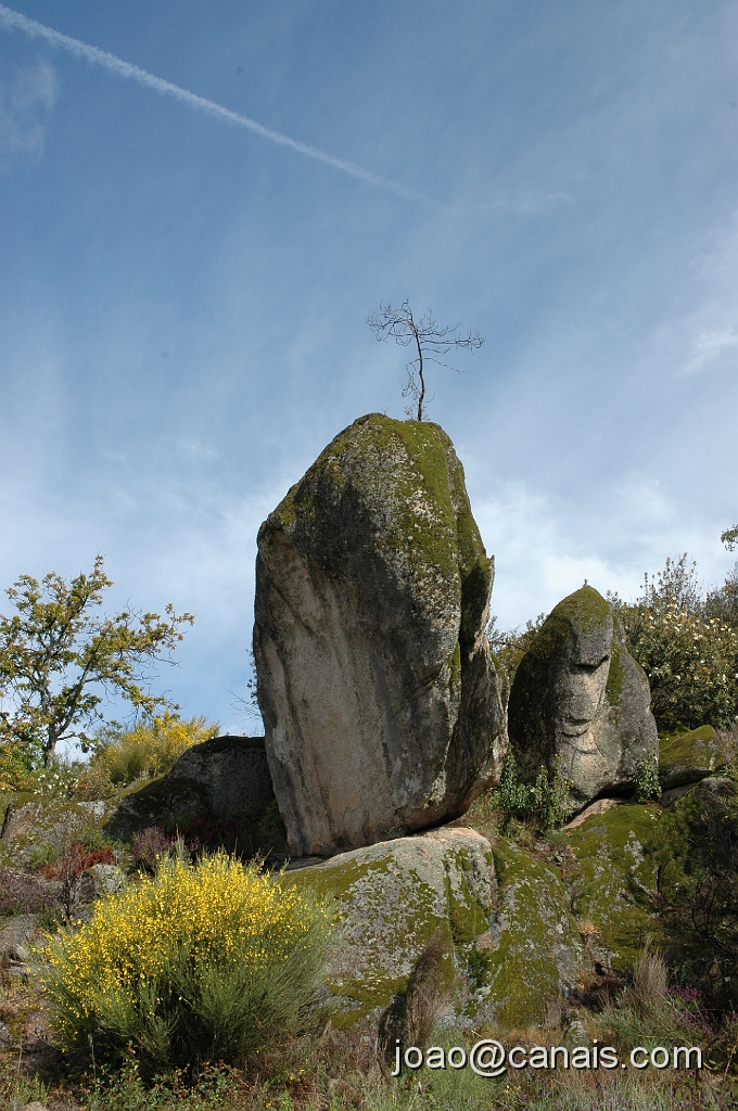 DSC_0690.JPG