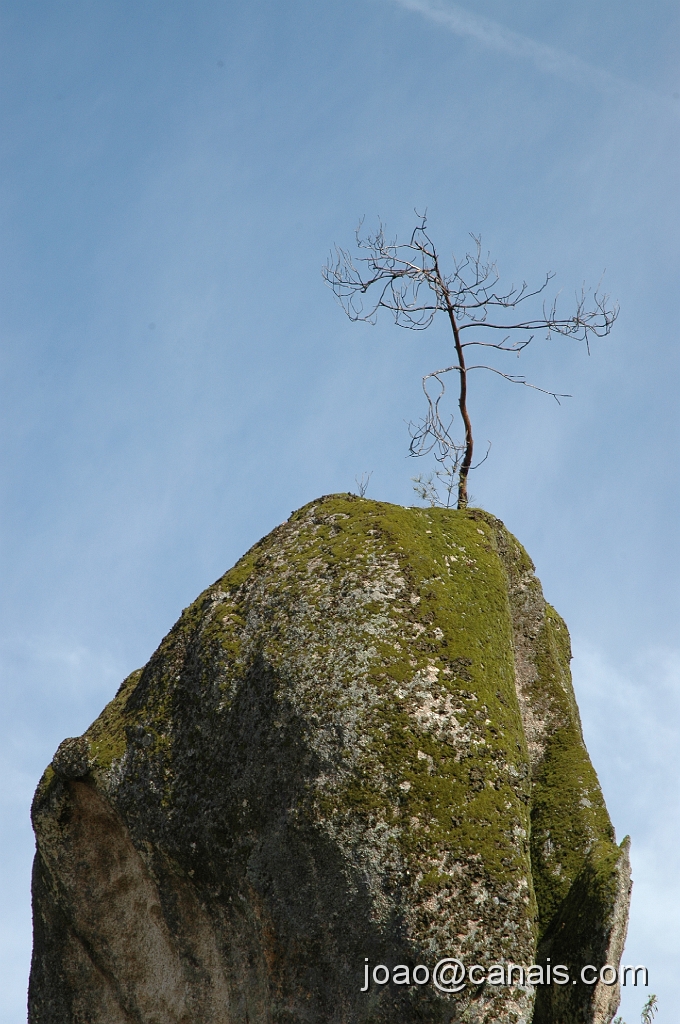 DSC_0691.JPG
