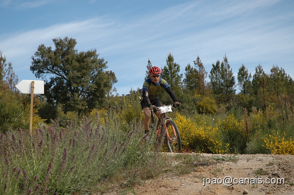 DSC_0733.JPG