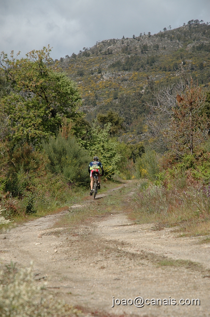 DSC_0783.JPG