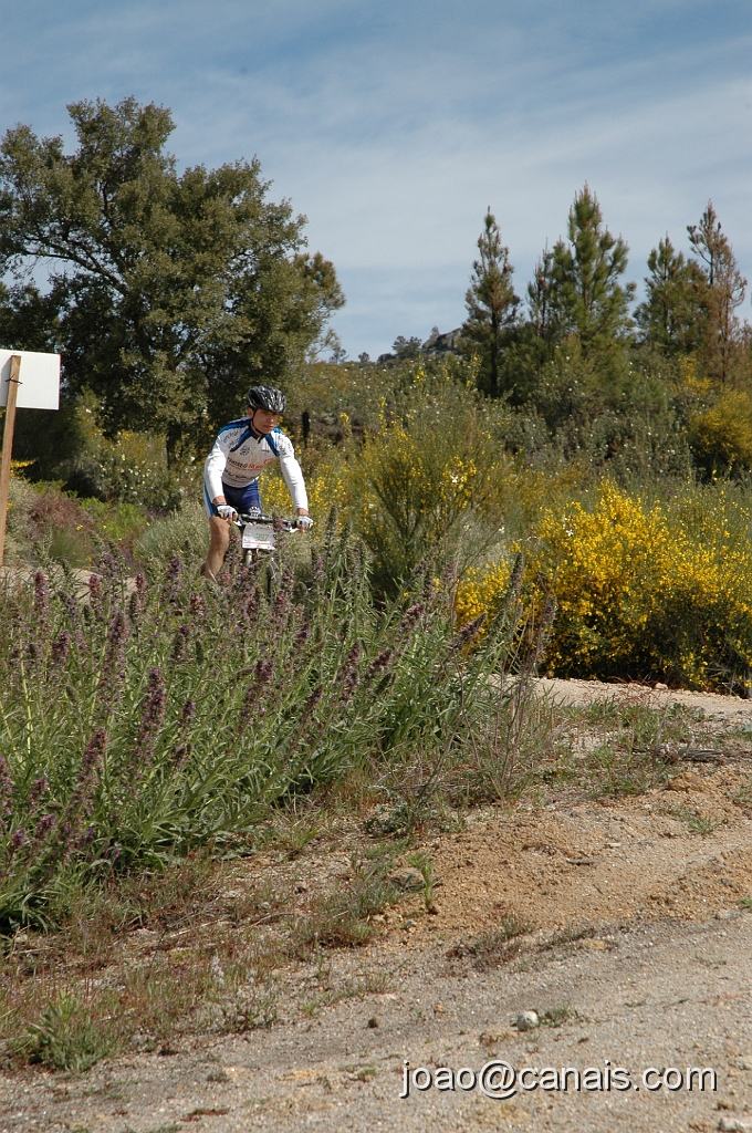 DSC_0785.JPG