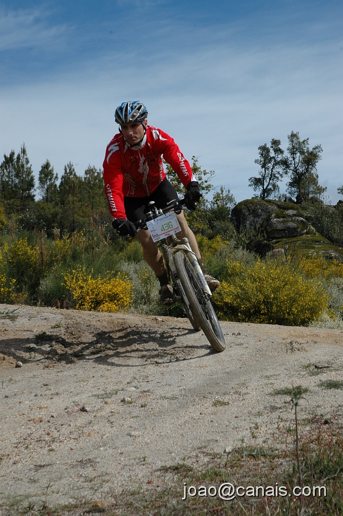 DSC_0822.JPG