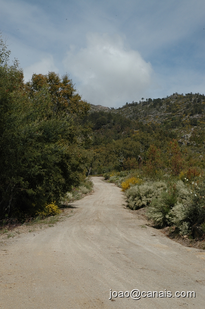 DSC_0909.JPG