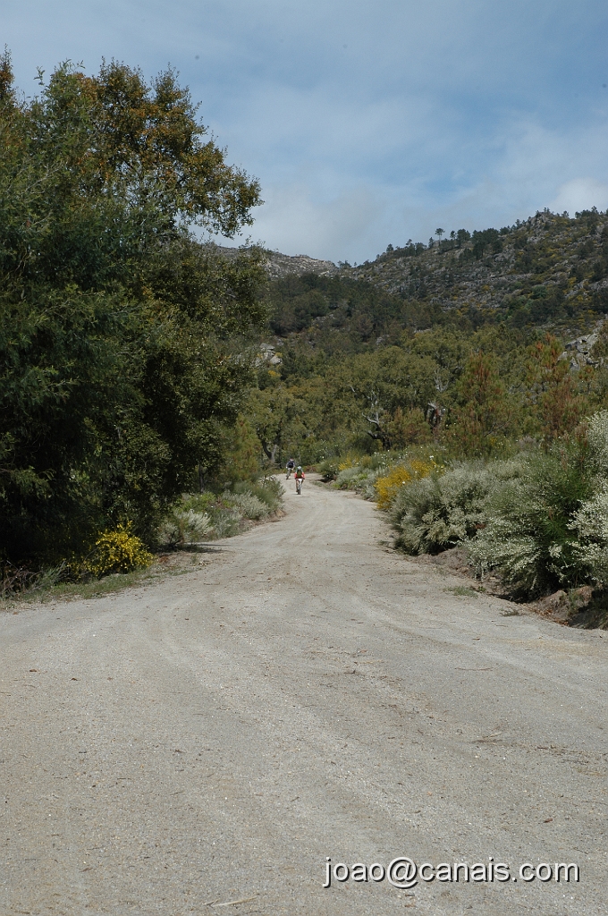 DSC_0930.JPG