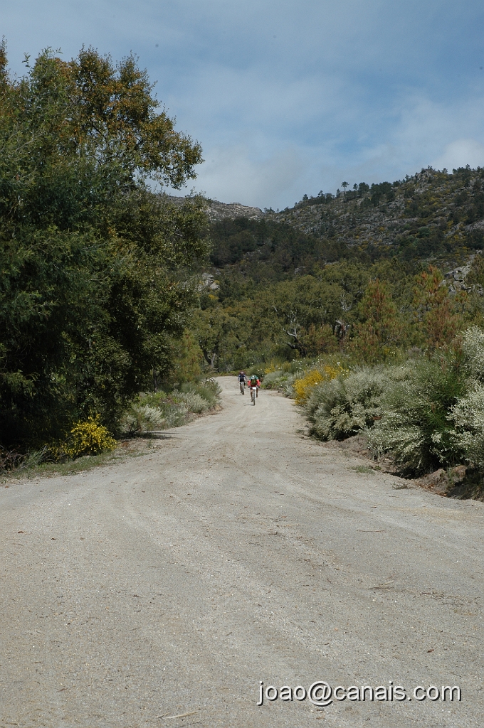 DSC_0933.JPG